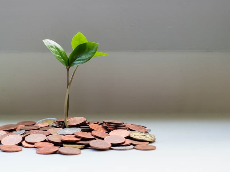 Financial Freedom